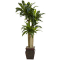 4.5' Cornstalk Draceana w/Vase (Real Touch)