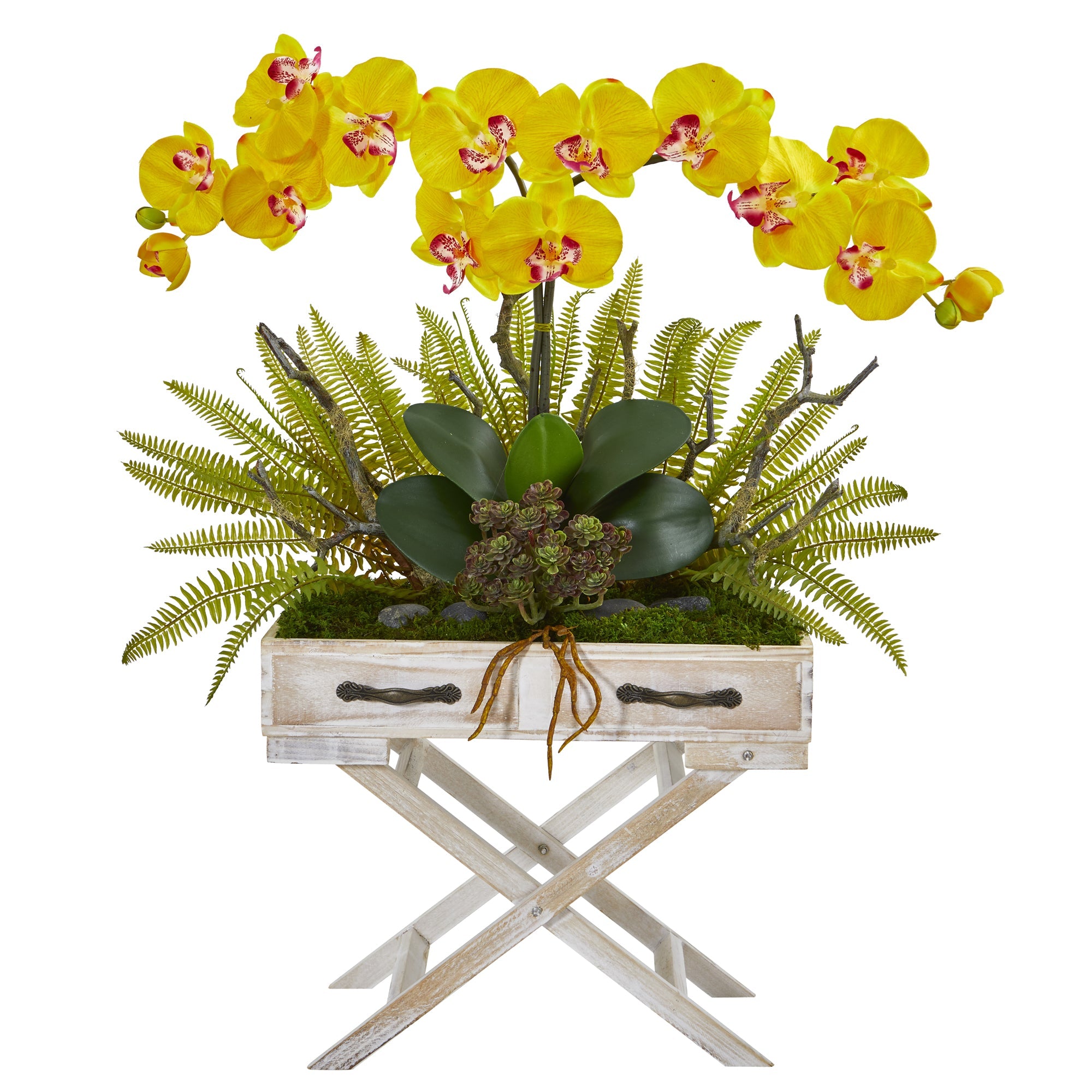 26"  Phalaenopsis Orchid, Fern and Succulent Artificial Arrangement