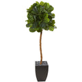 64" Fiddle Leaf Artificial Tree in Black Planter (Real Touch)