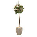57" Rose Topiary Artificial Tree in Sand Colored Planter