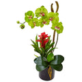 Orchid and Bromeliad in Glossy Black Cylinder