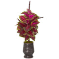32"  Coleus Artificial Plant in Decorative Planter