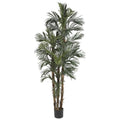 6' Robellini Palm Silk Tree
