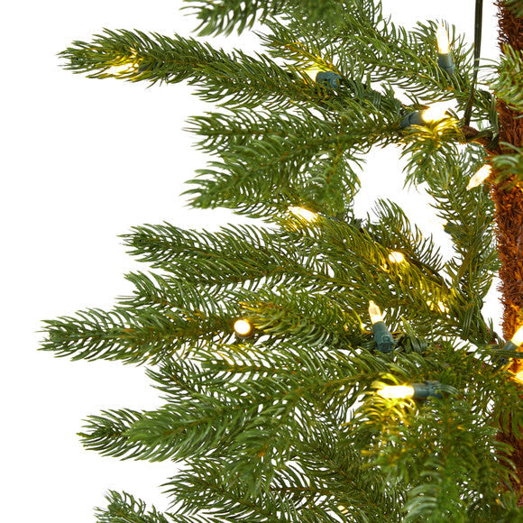 6.5' Fairbanks Fir Artificial Christmas Tree w/250 Clear Warm LED Lights