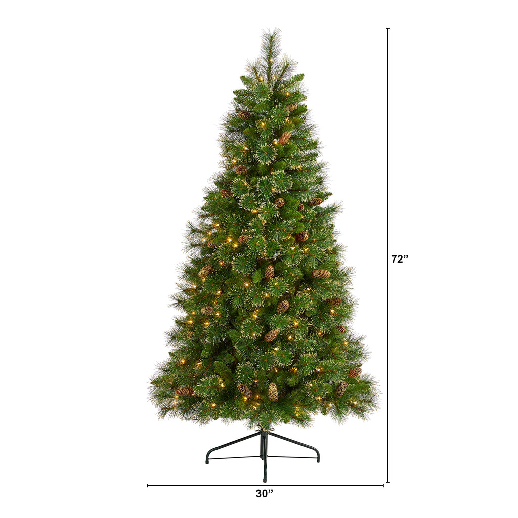 6' Golden Tip Washington Pine Artificial Christmas Tree with 250 Clear Lights