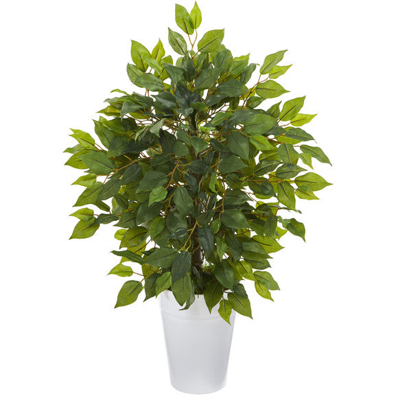 16" Mini Ficus Artificial Tree in White Planter