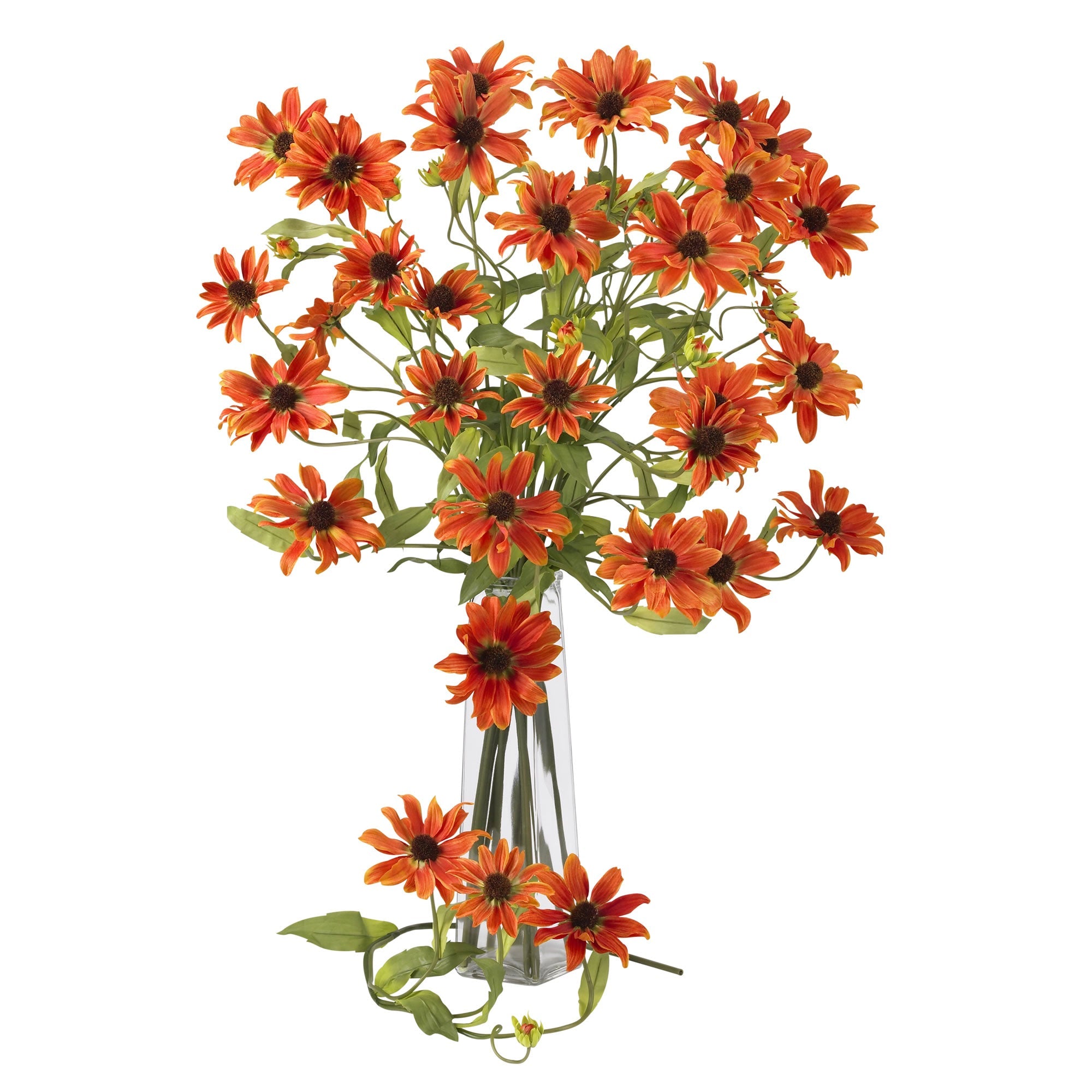 28.5" Cosmo Stem (Set of 12)