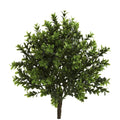 Sweet Grass Bush (Set of 6) (Indoor/Outdoor)