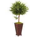 46"  Olive Topiary Artificial Tree in Decorative Planter