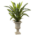 5' Dracaena Plant with Urn (Real Touch)