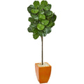 6' Fiddle Leaf Artificial Tree in Orange Planter