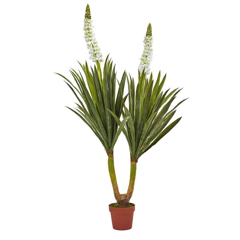 57"  Flowering Yucca Plant