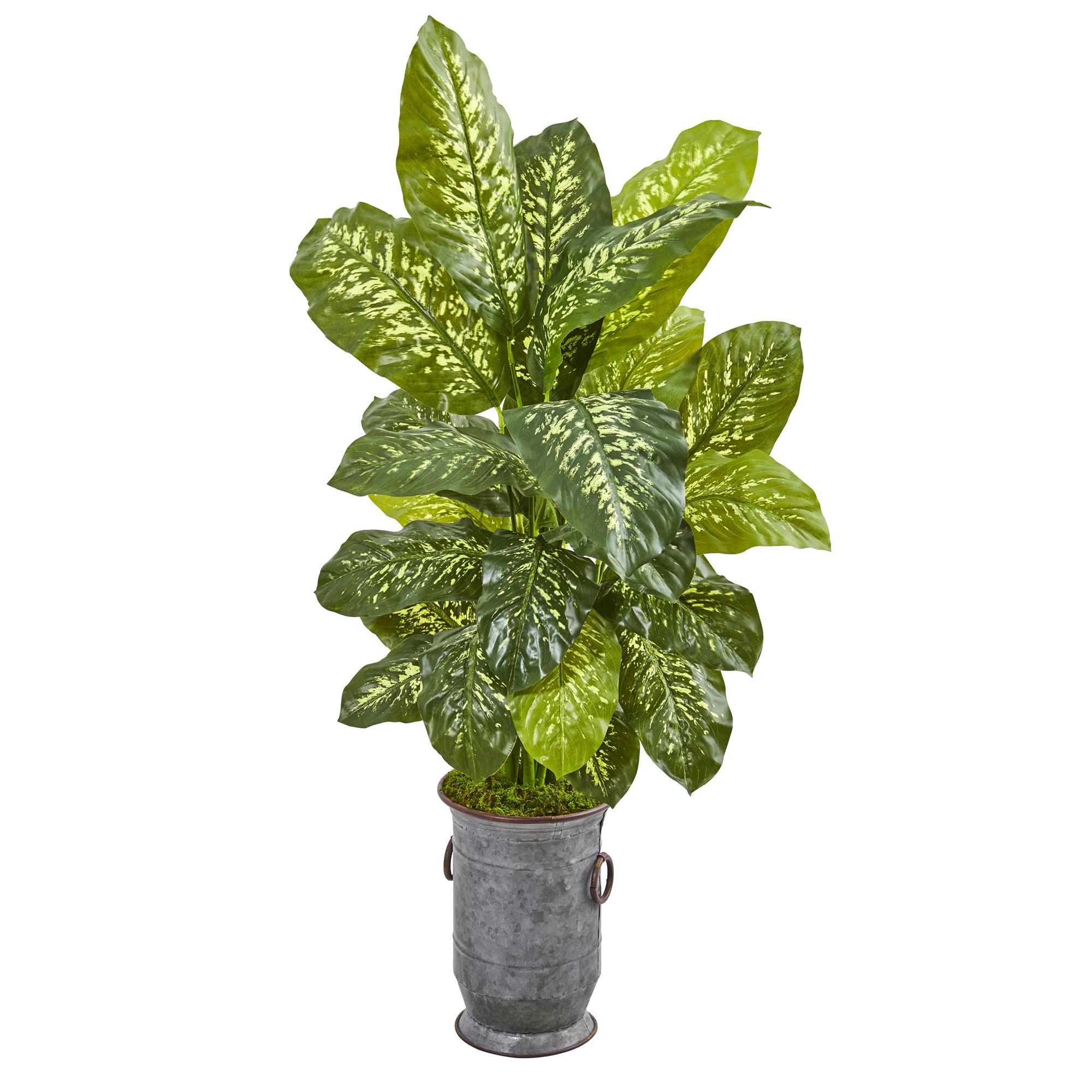 49" Dieffenbachia Artificial Plant in Vintage Metal Planter (Real Touch)