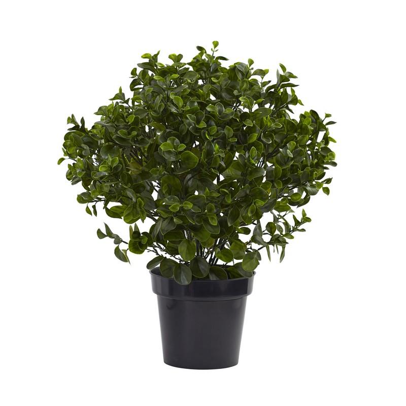 28"  Peperomia Plant UV Resistant (Indoor/Outdoor)