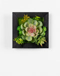 Hanging Succulent Box Wall DŽcor (Set of 6)
