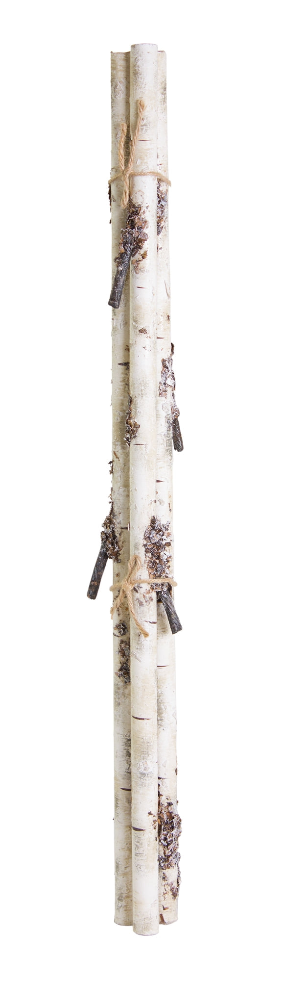Rustic Birch Log Bundle with Snowy Accents (Set of 12)