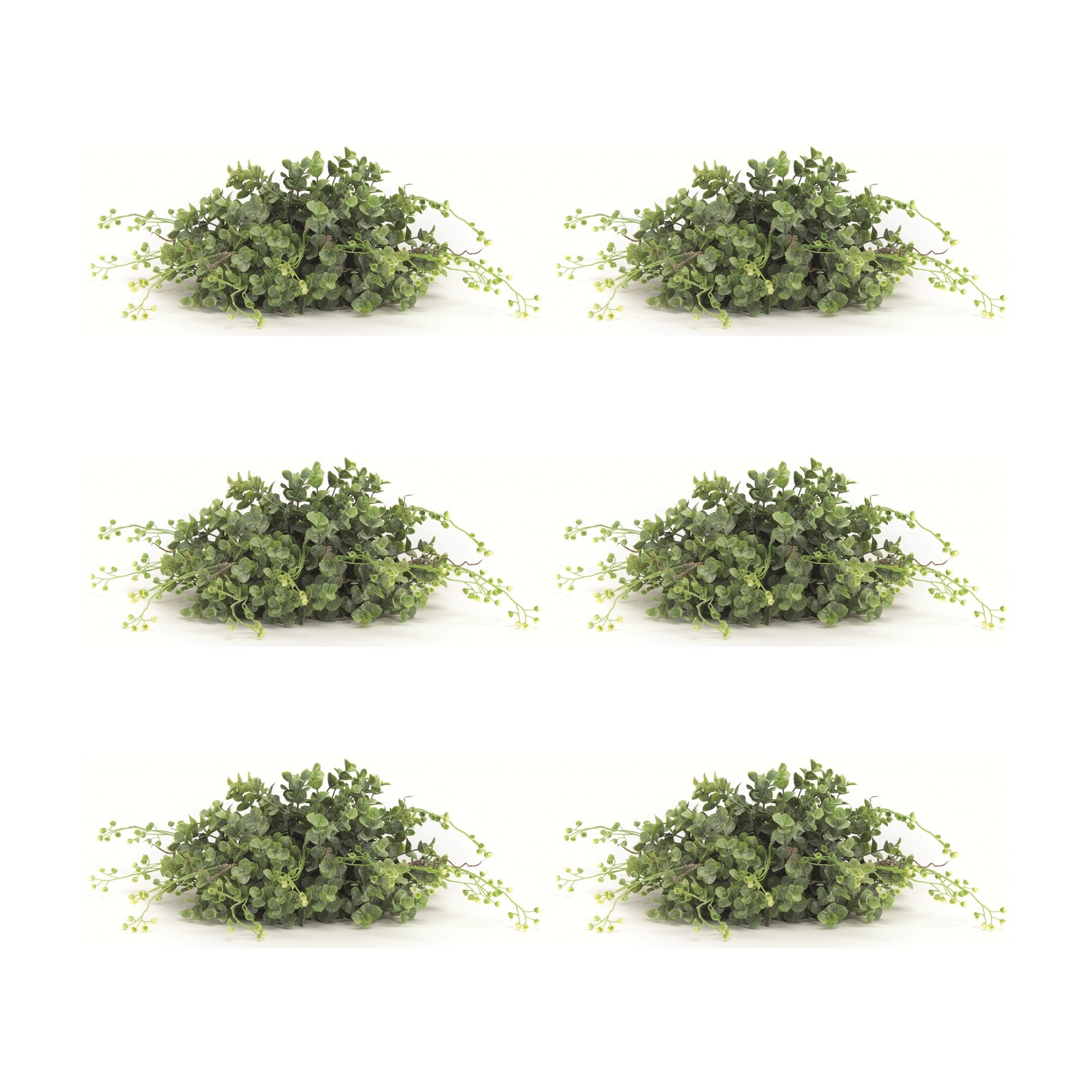 Spring Boxwood Foliage Half Orb (Set of 6)