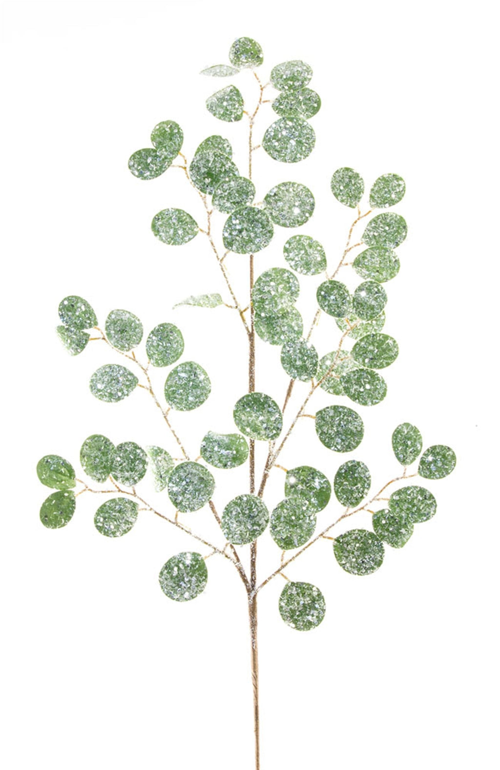 Frosted Silver Dollar Eucalyptus Spray (Set of 12)