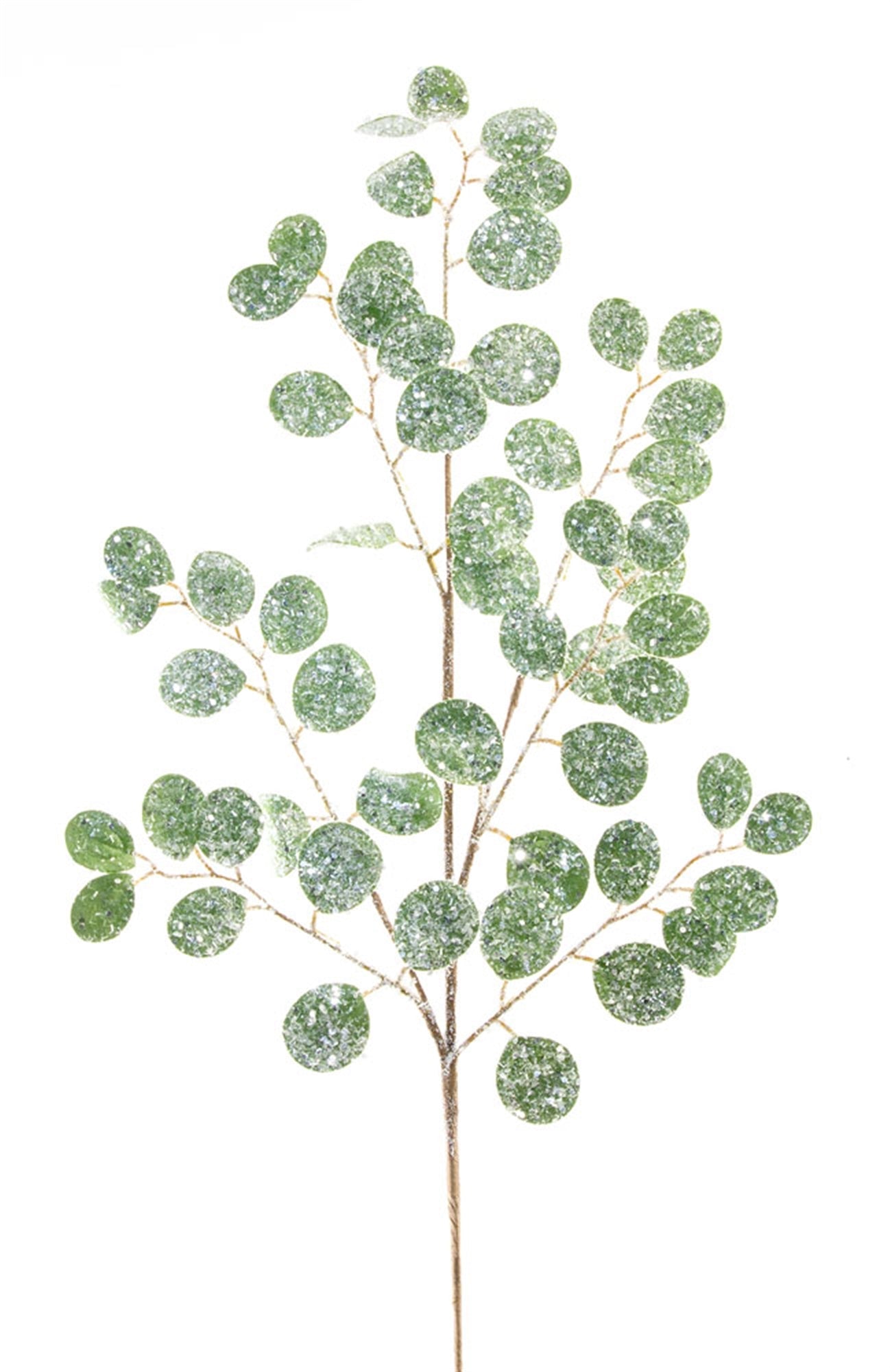 Frosted Silver Dollar Eucalyptus Spray (Set of 12)