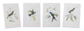 Tabletop Encyclopedia Hummingbird Print (Set of 4)