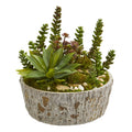 Mini Succulent Garden Artificial Plant in Weathered Oak Planter