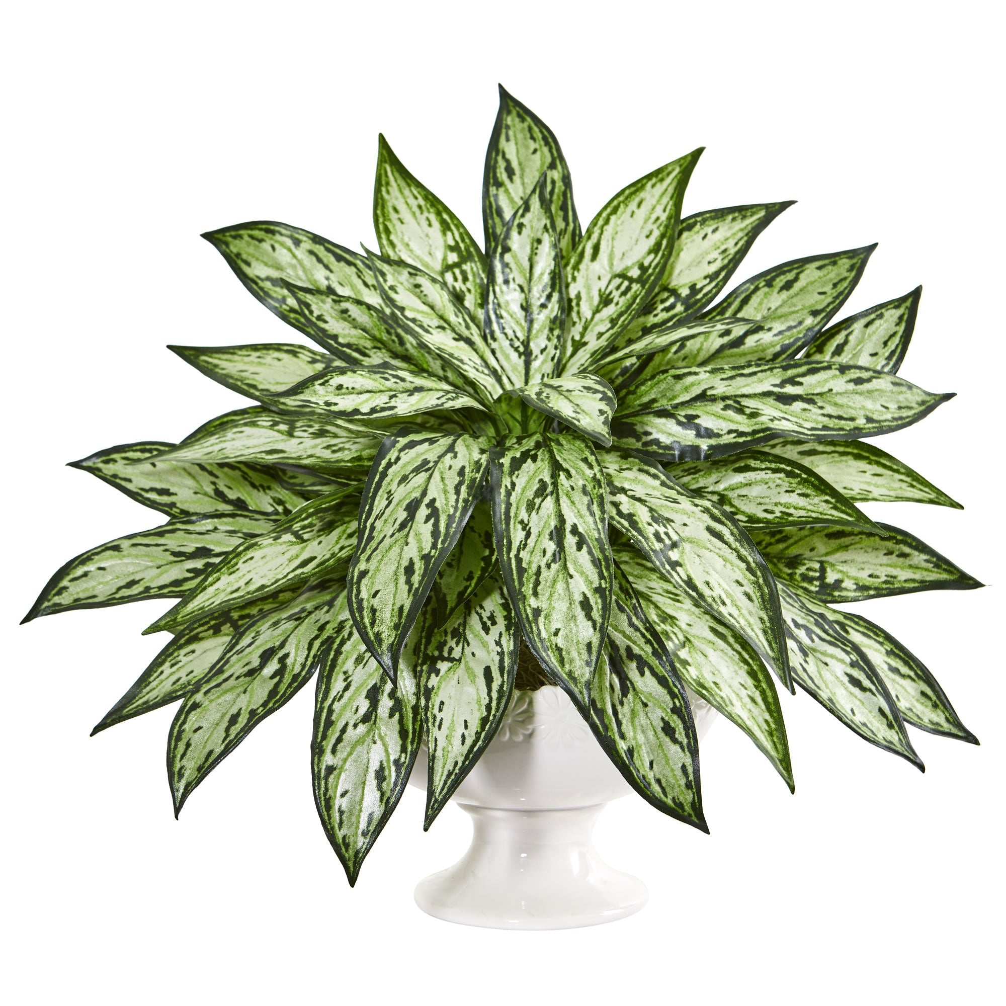 18" Silver Queen Artificial Plant in White Pedestal