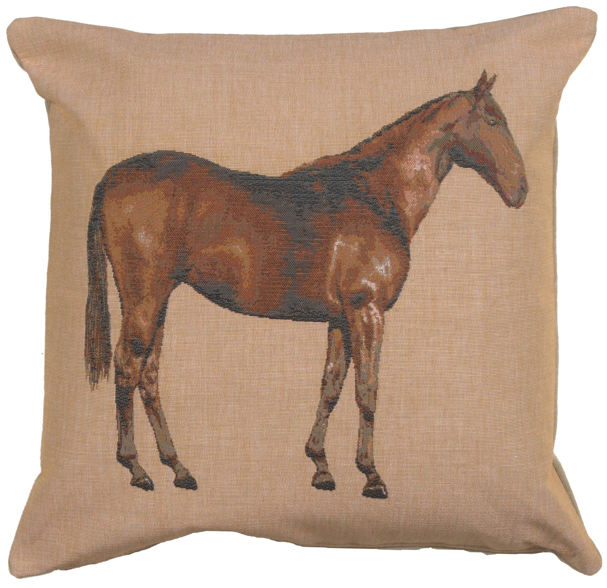 Horse Light 1 French Cushion