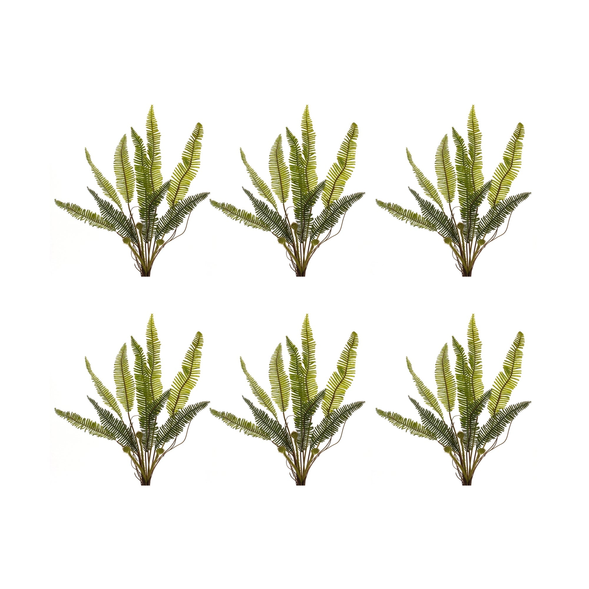 Varigated Fern Foliage Bush (Set of 6)