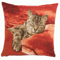 Sleeping Cat Red 1 French Cushion