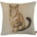 Tabby Cat Sitting Light Grey  French Cushion