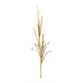 Foxtail Grass Spray (Set of 2)