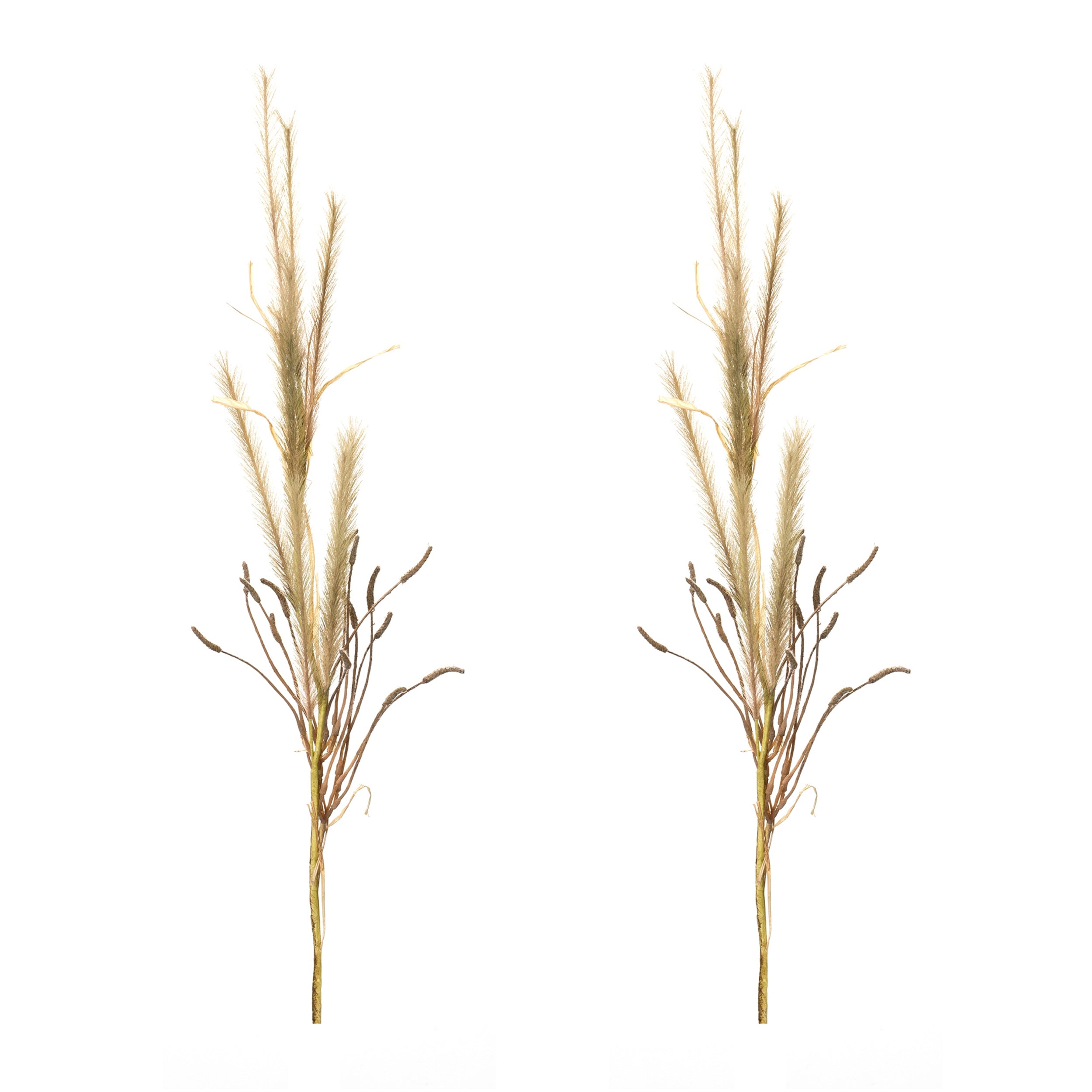 Foxtail Grass Spray (Set of 2)