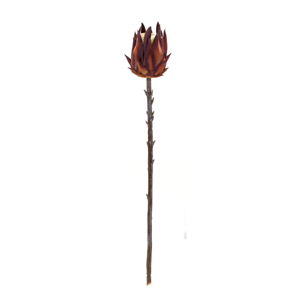Burgandy Protea Stem (Set of 6)