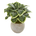 26" Variegated Hosta Artificial Plant in Sand Colored Bowl
