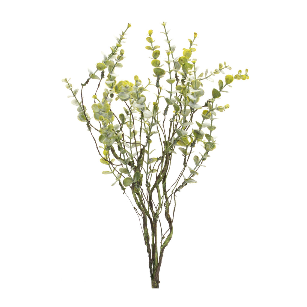 Boxwood Twig Foliage Spray (Set of 6)