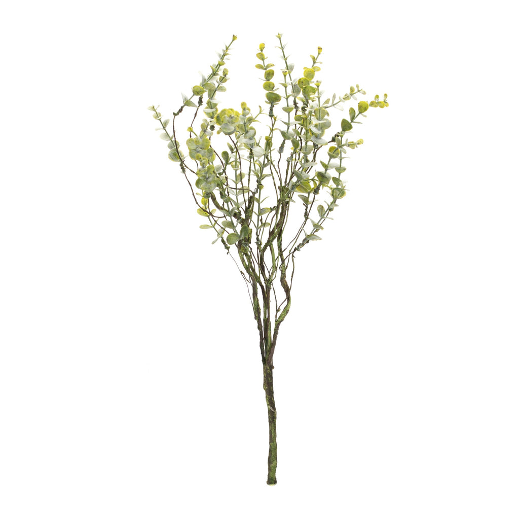 Boxwood Twig Foliage Spray (Set of 6)