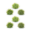 Varigated Mini Leaf Half Orb (Set of 6)