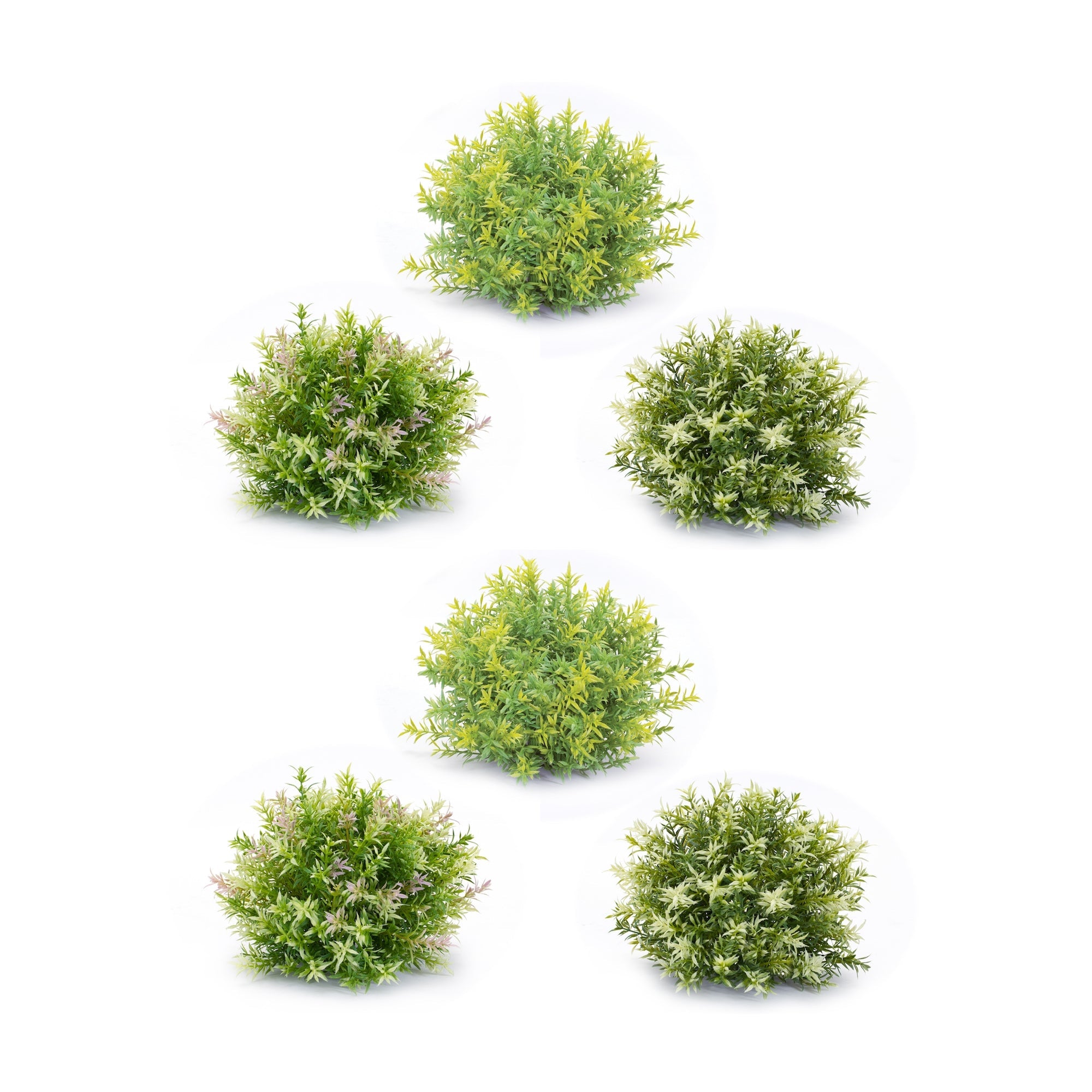 Varigated Mini Leaf Half Orb (Set of 6)