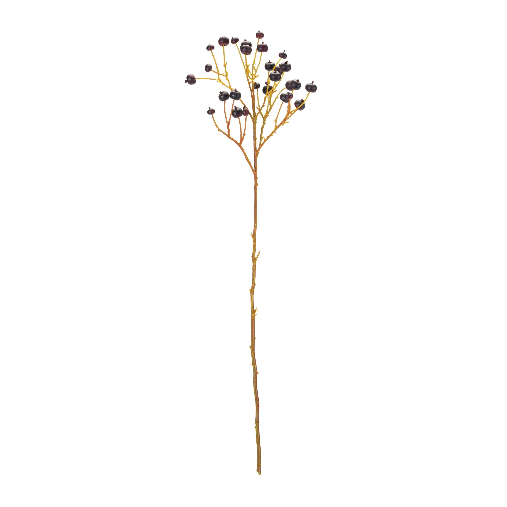 Blue Berry Spray (Set of 6)