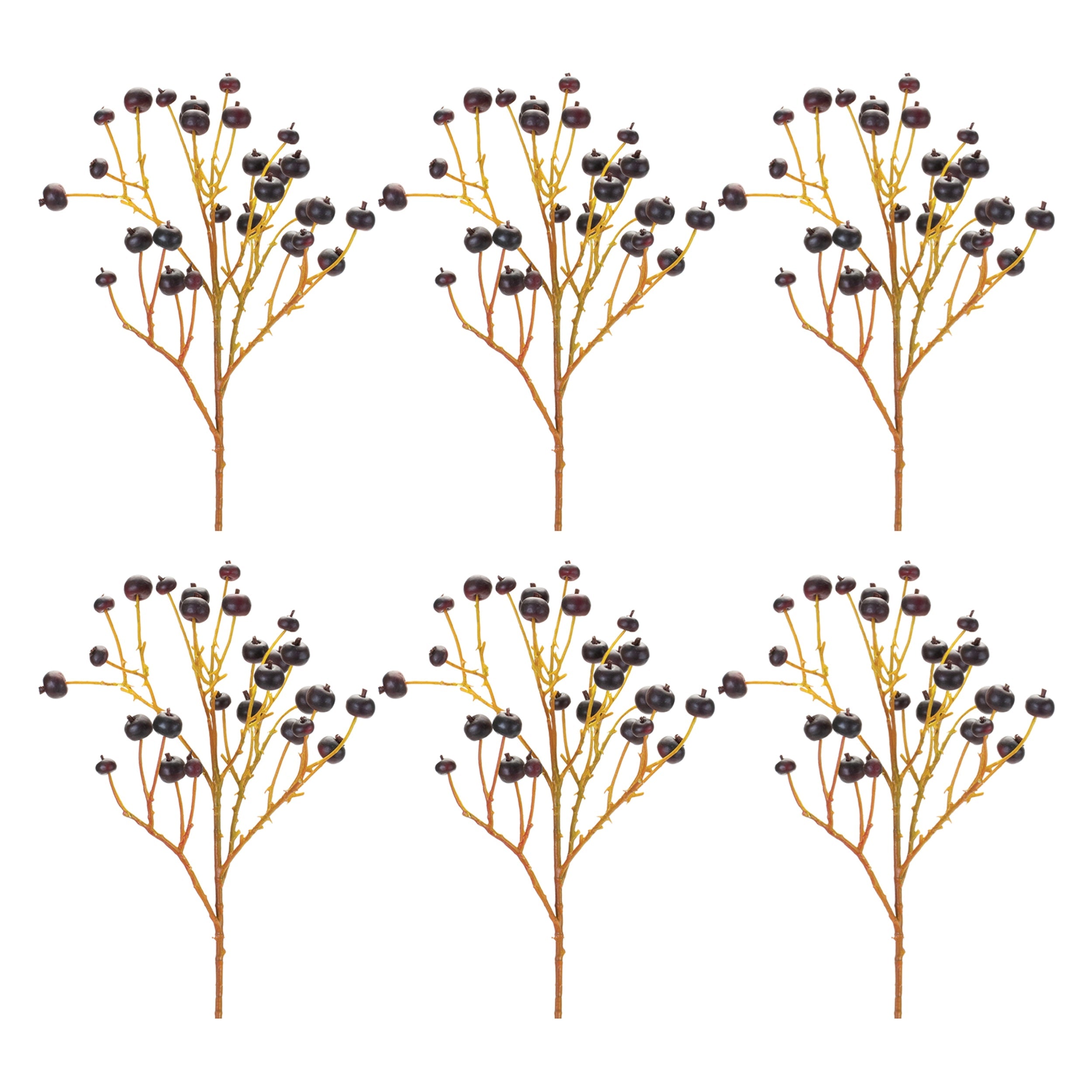 Blue Berry Spray (Set of 6)