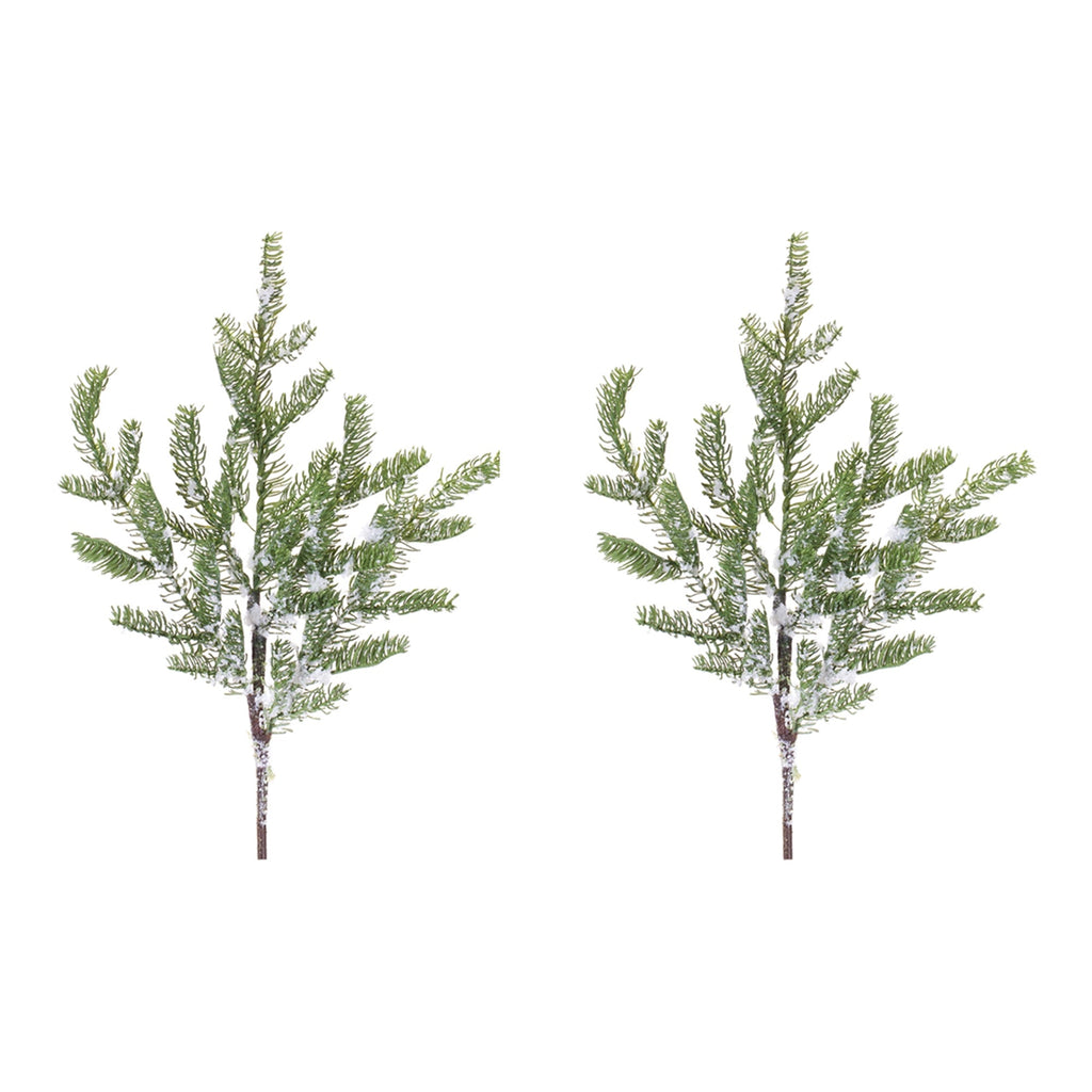 Pine Spray (Set of 2)