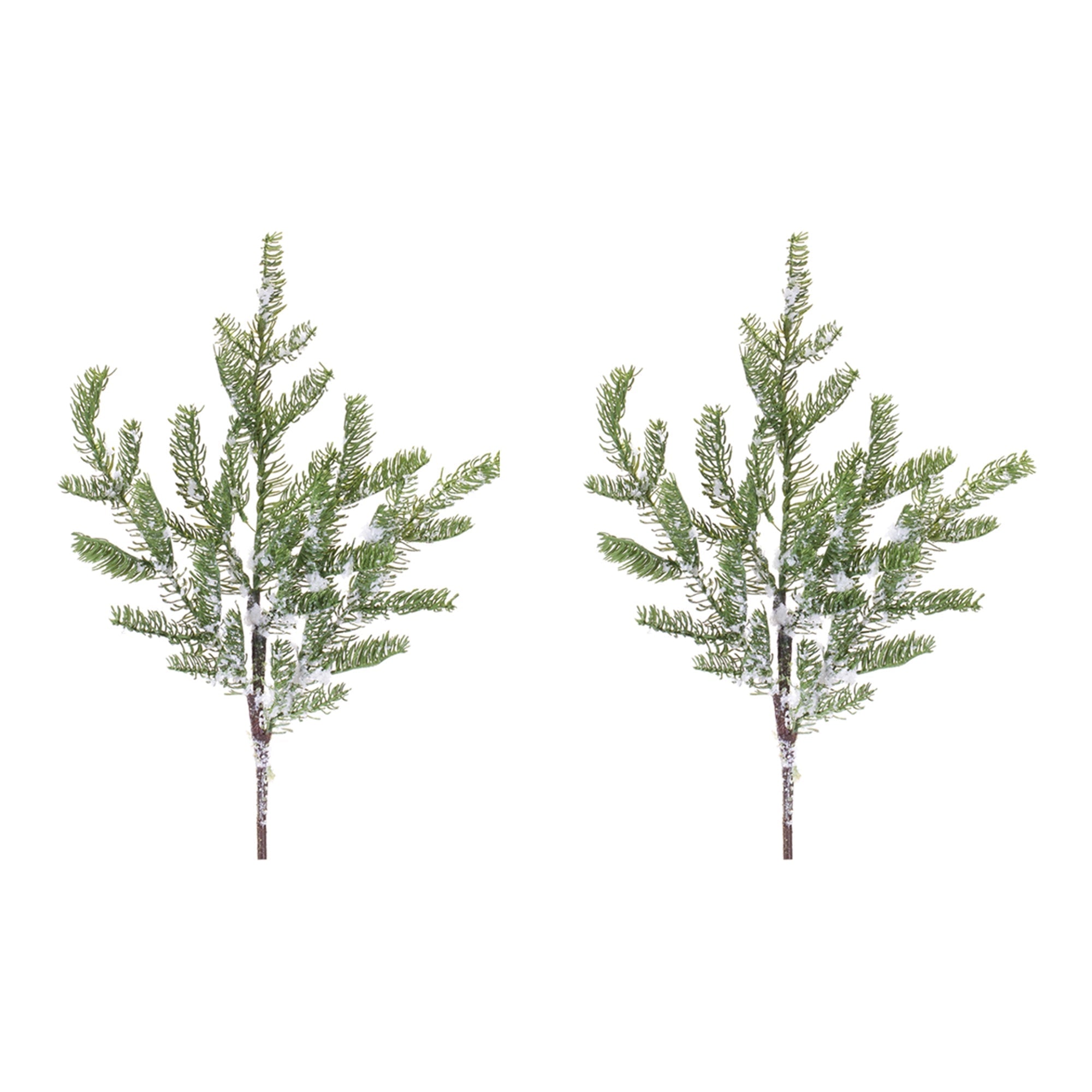 Pine Spray (Set of 2)
