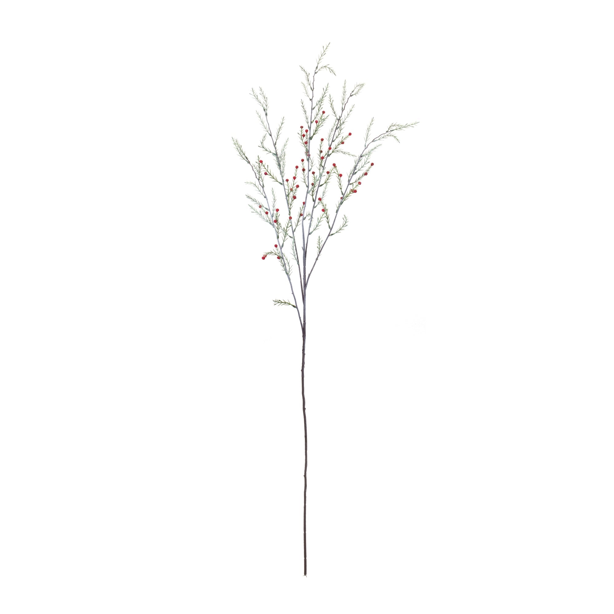 Pine Branch (Set of 12)