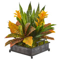 18" Bromeliad, Croton and Sansevieria Artificial Plant in Decorative Tray