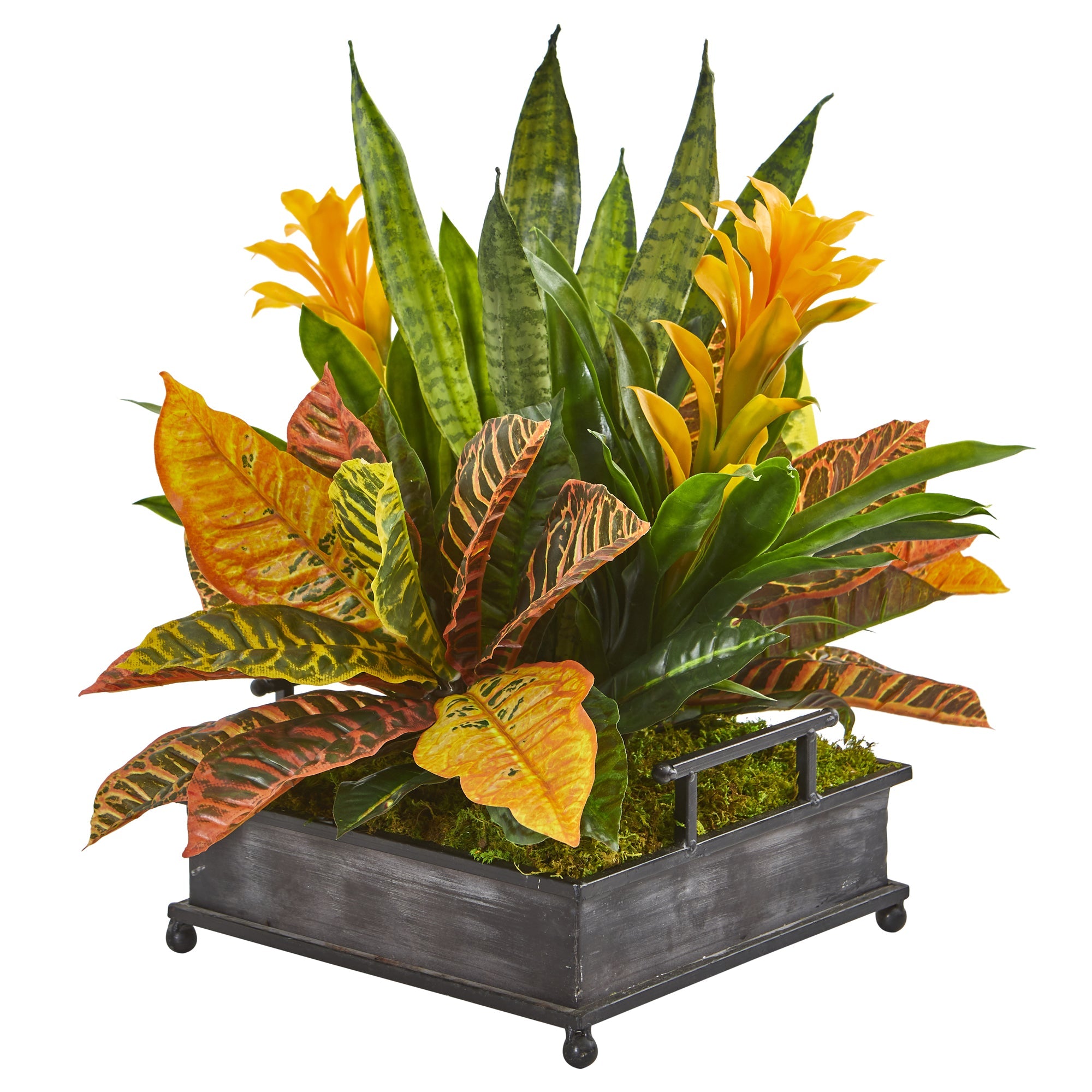18" Bromeliad, Croton and Sansevieria Artificial Plant in Decorative Tray