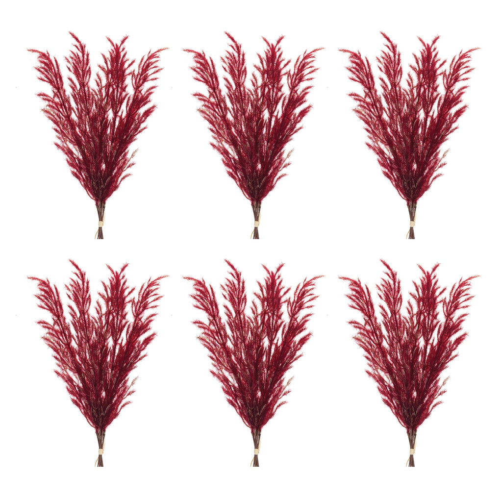 Burgandy Plume Bundle (Set of 6)