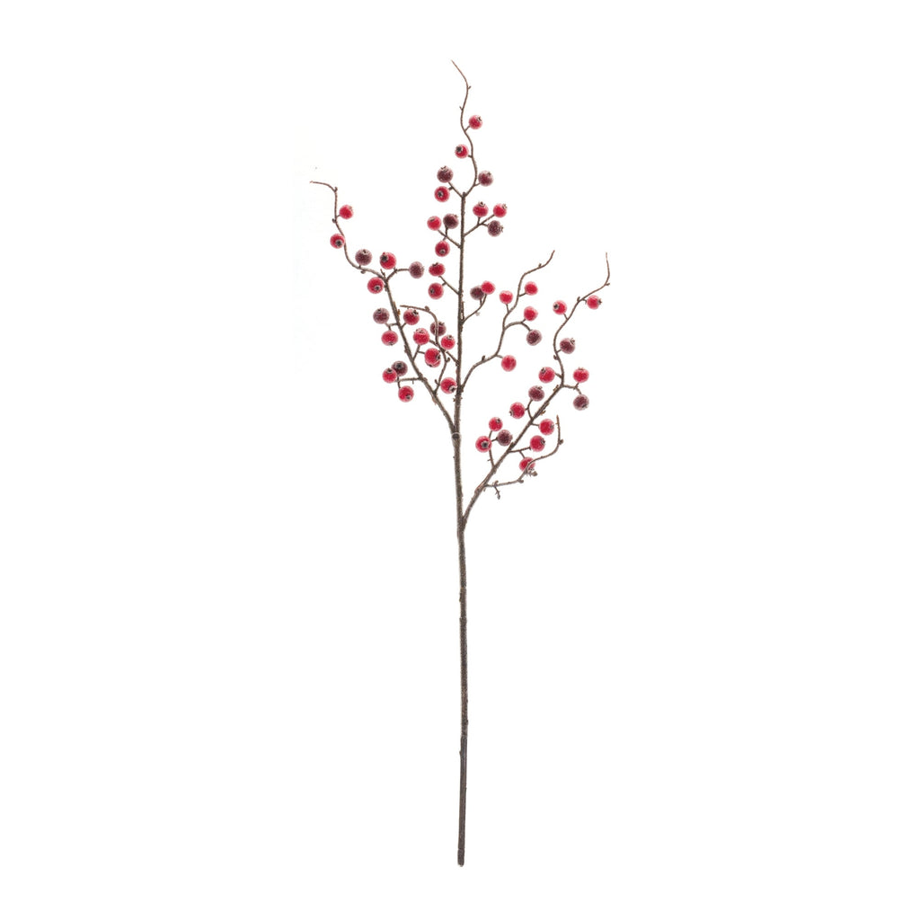 Iced Berry Twig Spray (Set of 12)