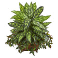 32" Silver King and Mini Melon Artificial Plant in Planter