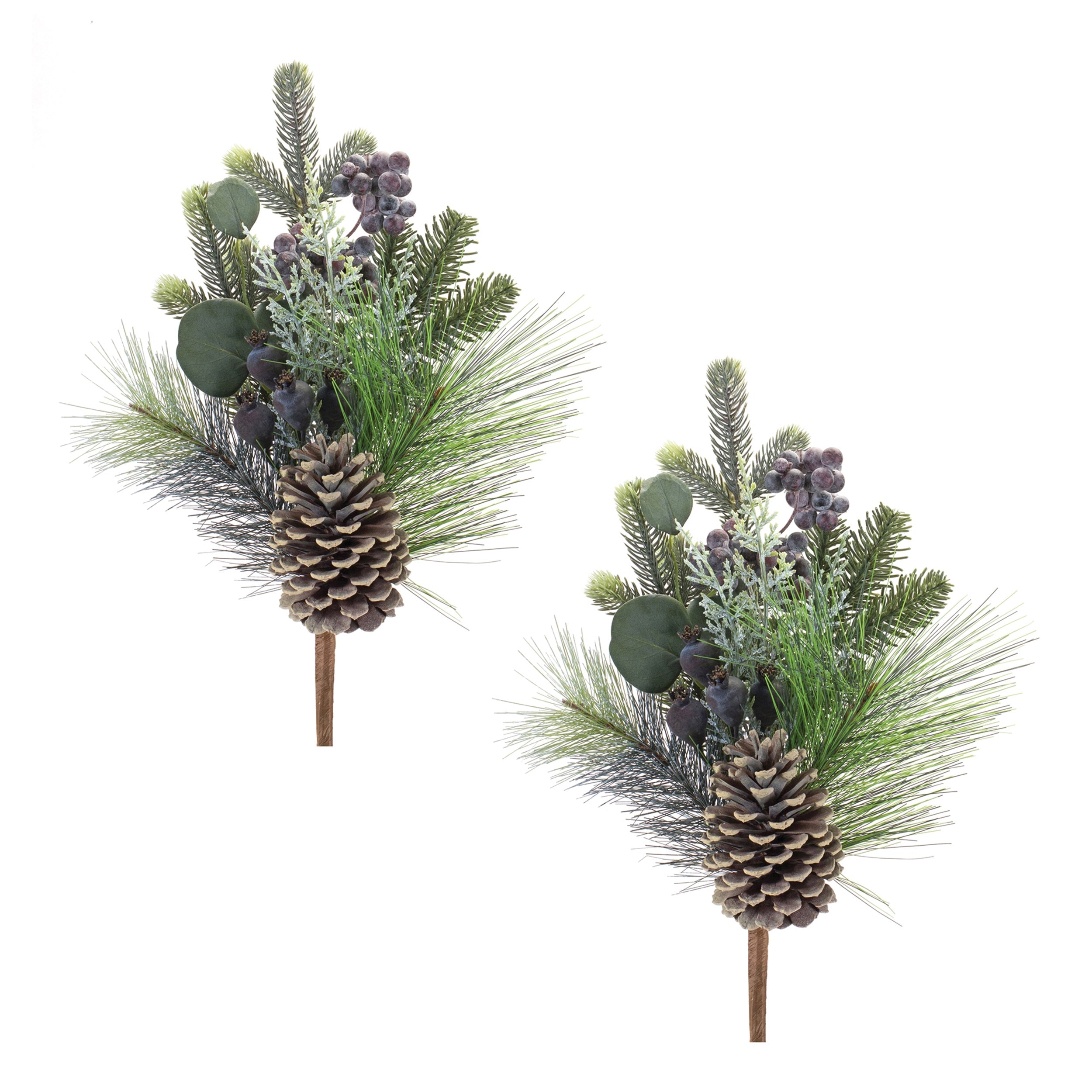 Pine Eucalyptus Pick (Set of 2)