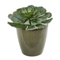12" Giant Echeveria Succulent Artificial Plant in Planter